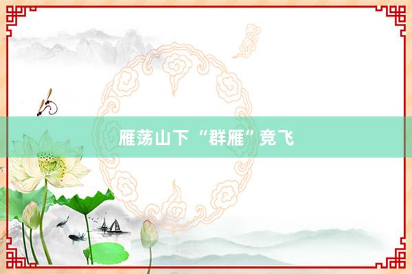 雁荡山下 “群雁”竞飞